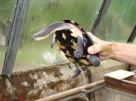 Люди, которые изо всех сил стараются быть романтичными