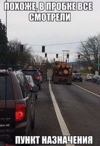 Смотреть смотрели, но по ходу ни один дебил не в курсе: куда на самом деле падают бревна.