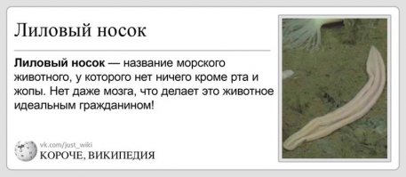 Не идеальным!!! Хрен прокормишь такое!!!:)