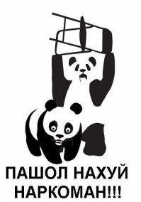 Теперь вы сможете сами вылизывать вашу кошку!