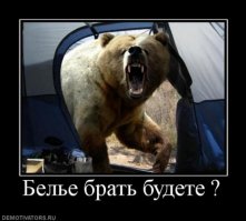 Что делать, если на тебя бежит медведь?