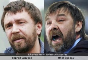 Что-то общее прослеживается, хотя далеко не двойнеки