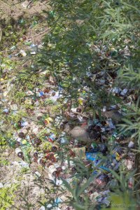 А это, на какую картину похоже?  В Витебске сфоткал)))