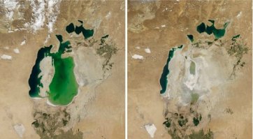 Картина человеческой глупости. Аральское.. море..