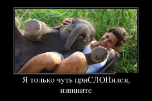 Демотиваторы