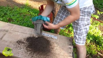 Буду миллионером