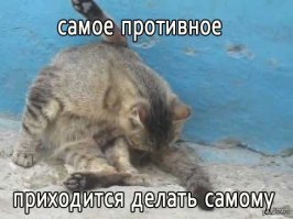 "Licki Brush" - лизалка для кошек