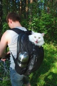 "Не садись на пенёк..."