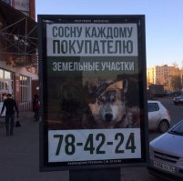 Зубов бояться - в рот не давать !