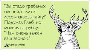 Смешные картинки