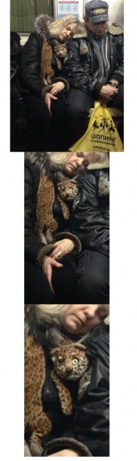Без таких прохожих было бы скушновато