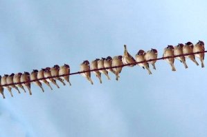 Всегда иди против системы 