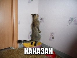 ...он просто ссыт тебе на стену!:)