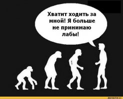 25 перлов преподавателей с отличным чувством юмора