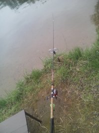 Вот пятница,Пироговское водохранилище.Вся рыба была отпущена.