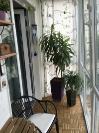 ВОТ МОЙ БАЛКОН