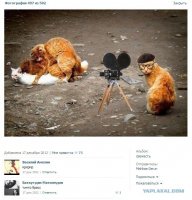 Тинто Барсик