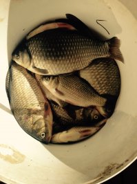 Я тоже утречком ходил. Правда погода в субботу после 11.00 испортилась