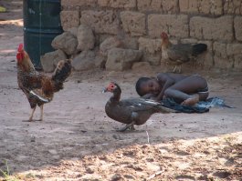 Чем дальше от цивилизации, тем менее отравлены ей люди, поэтому более человечные и душевные!