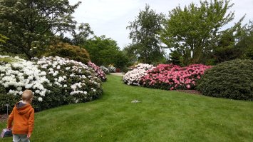 С вас хватит :)