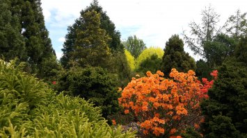 С вас хватит :)