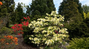 С вас хватит :)