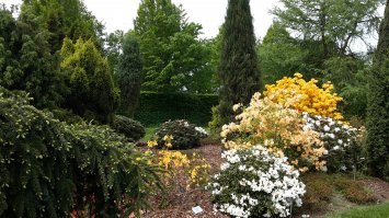 Добавлю пару своих фоток