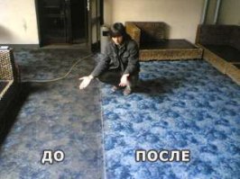 Пять лет ковер не чистили вот и не замечали