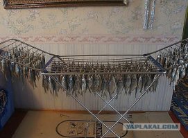 19 способов украсить свой дом гирляндами