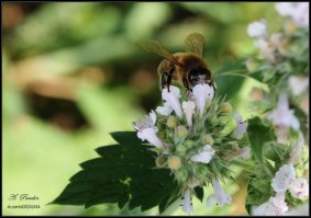 Пост для весеннего настроения