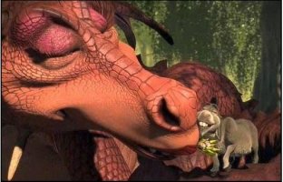 ТОП 10 влюбленных пар западного кино