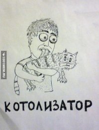 Теперь вы сможете сами вылизывать вашу кошку!