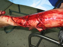 По Средиземному морю на каяке: мужчина уволился с работы и отправился в плавание вместе с собакой 