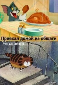 Лучшее время в жизни! Оценят те, кому довелось пожить в студенческом общежитии