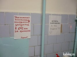 Лучшее время в жизни! Оценят те, кому довелось пожить в студенческом общежитии