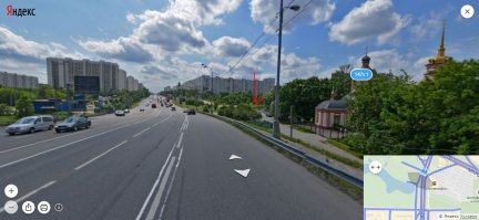 Сотрудник ДПС перекрыл движение ради утки с утятами