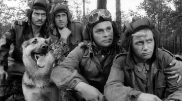 Польский фотограф делает самые красивые фотографии собак в мире