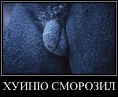 7 смешных новостей от сайта «Бесэдер?»