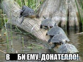 Фотоподборка за 24.05.2016