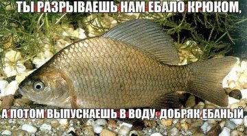 Рыбалка 22.05.2016