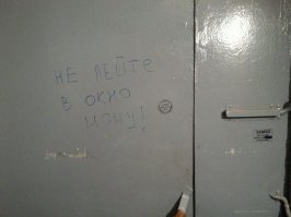 Появилось в моём подъезде