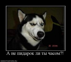 Чего это тебе гомики везде мерещатся?