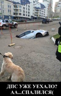 Свежая подборка автоприколов