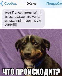 Смешные комментарии из социальных сетей 24.05.16