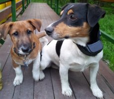 Ну, раз пошла такая пьянка... Вот мои чудовища: