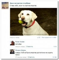 Смешные комментарии из социальных сетей 24.05.16