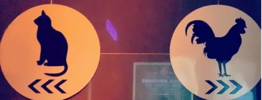 Ну тут можно перепутать, то ли кот и курица, то ли кошка и петух!:)