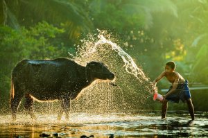 Хороший фотошоп когда его присутствие не видно