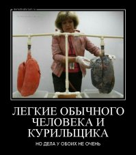 Картинки с подписями