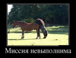 не сдавайся